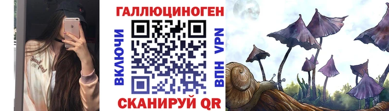 Псилоцибиновые грибы мухоморы  МЕГА ссылки  Димитровград  купить закладку 