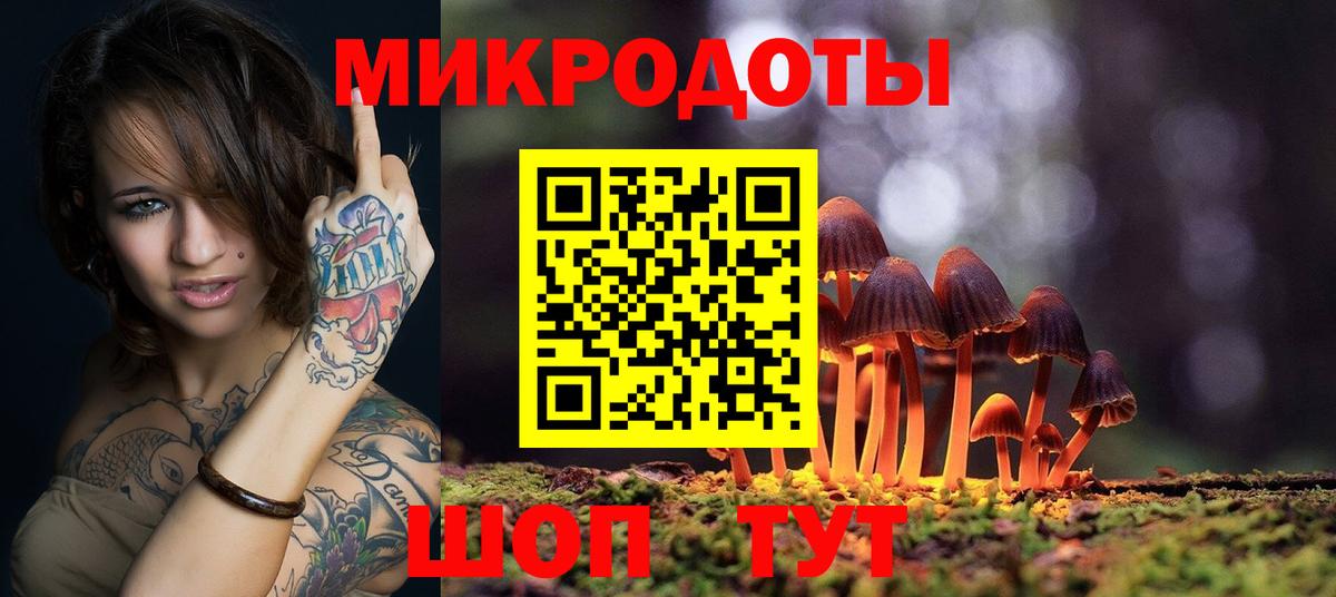 Димитровград  Псилоцибиновые грибы Psilocybe  Вход с VPN 