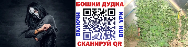Бошки Шишки OG Kush  дарнет шоп  Димитровград 